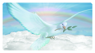 DSC700 116 D BL Dove Clouds Blue